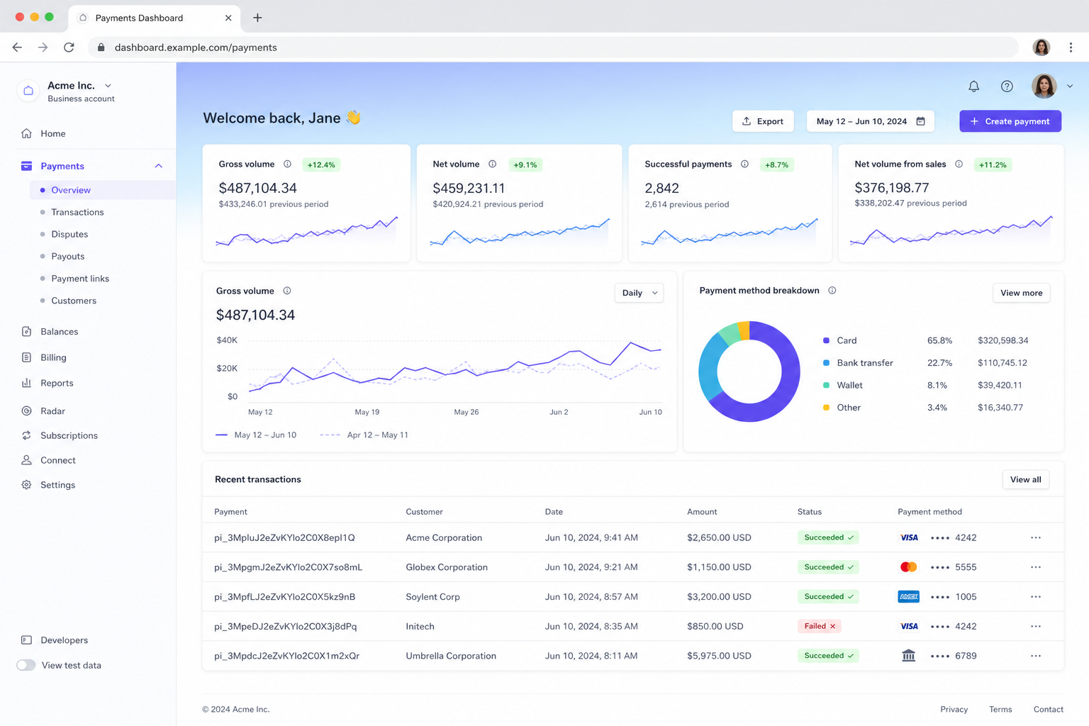 Stripe dashboard UI preview with payments module